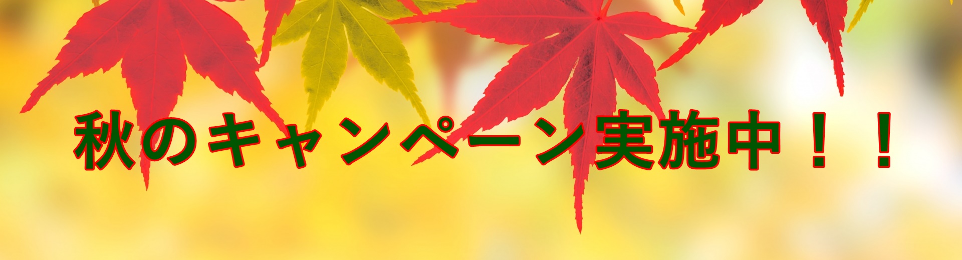 秋のキャンペーン