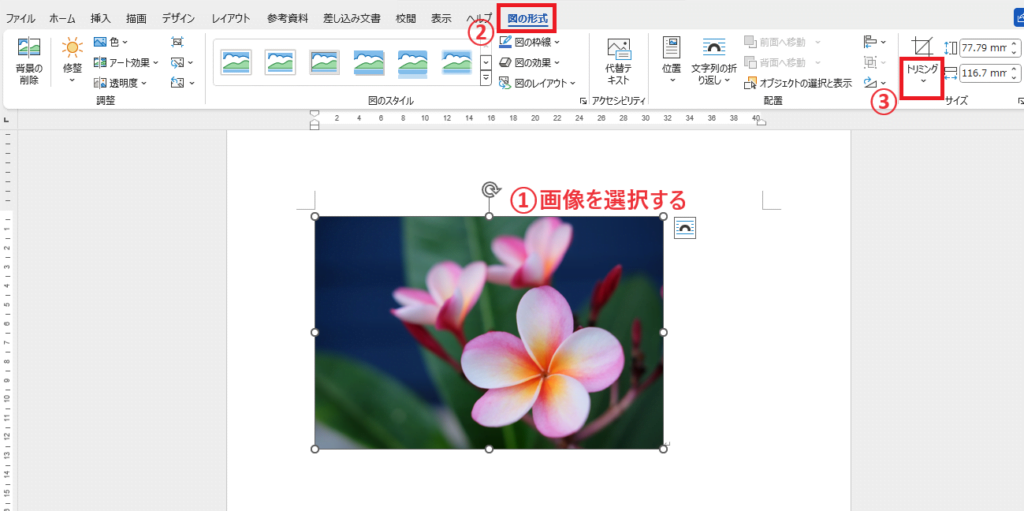 図形に合わせてトリミングしたい画像を選択し、「図の形式」タブから「トリミング」をクリックする