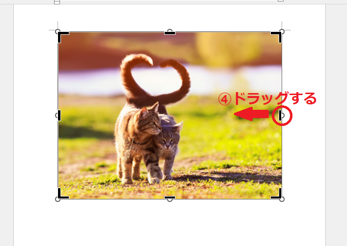 トリミングハンドルをドラッグして、必要な部分だけが表示されるように調整する