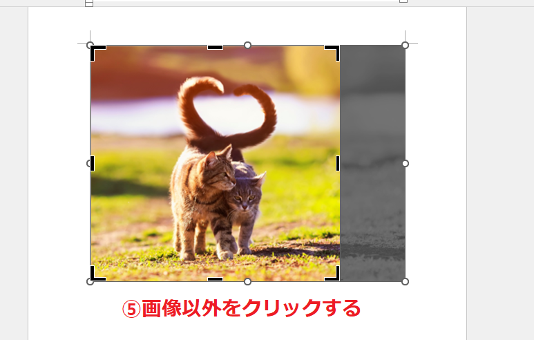 トリミングが完了したら、画像以外をクリックする